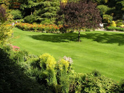 Grounds & Garden Maintenance